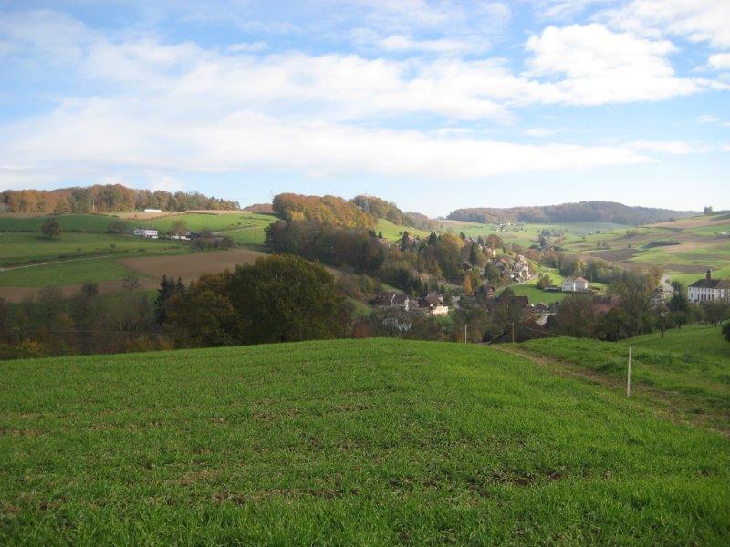 Wislikofen 