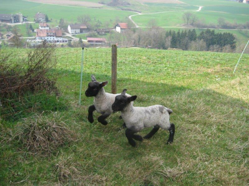 Unsere Zwillinge Unsere Zwillinge