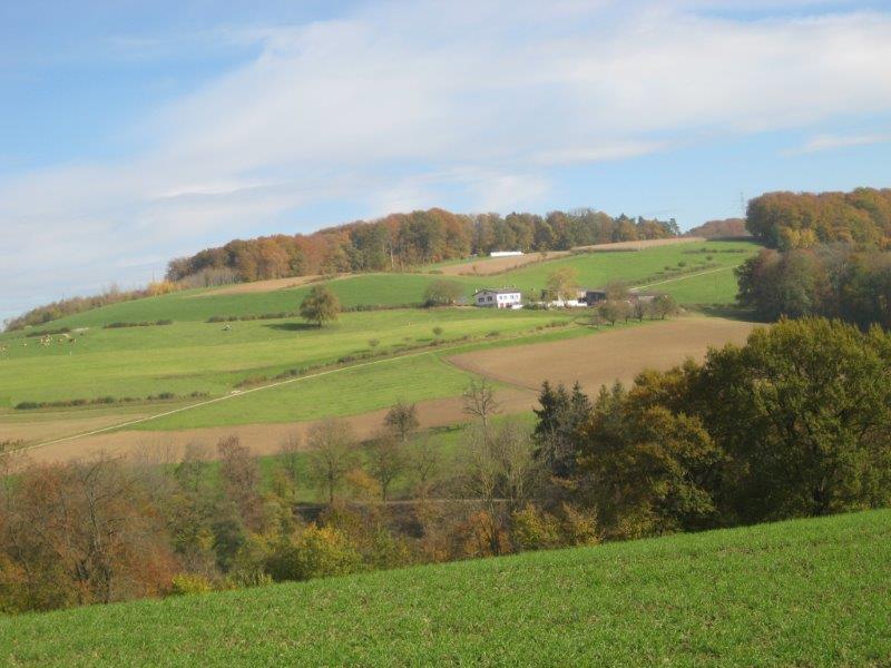 Ifanghof